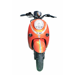 BICHI 49CC (ONLY IN STORES)